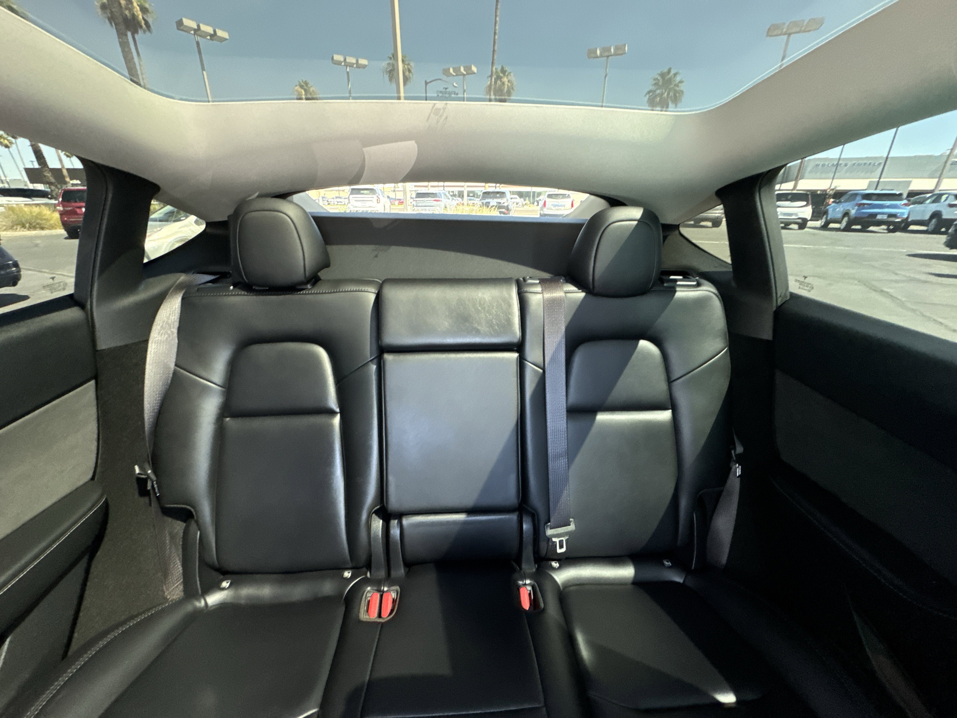 2024 Tesla Model Y Long Range