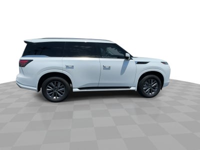 2025 INFINITI QX80 PURE